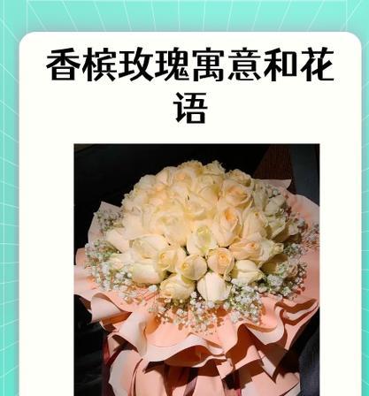 碧梅紫红色的花语有何特别之处？