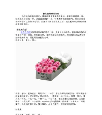碧梅紫红色的花语有何特别之处？