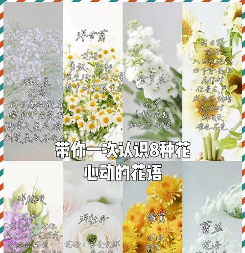 刚认识时送什么花合适？刚认识送花应该写什么花语？