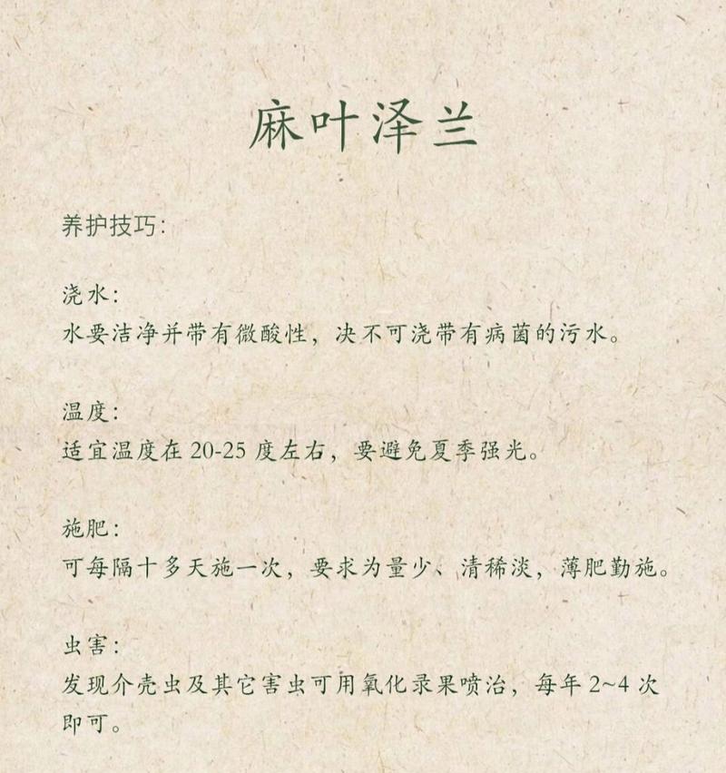 紫金泽兰的花语有哪些？紫金泽兰象征着什么？
