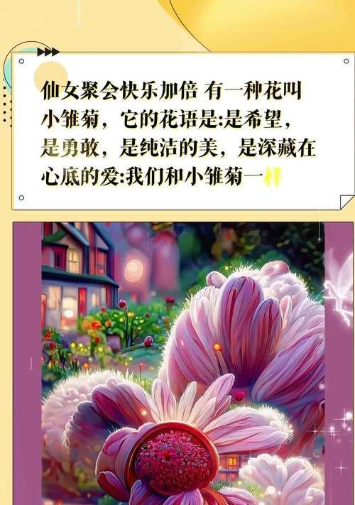 土培雏菊的花语有何特别之处？