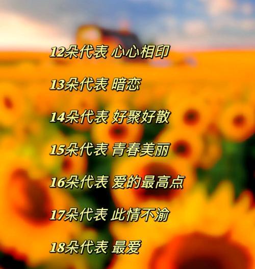 太阳女神寄来的花语代表什么含义？
