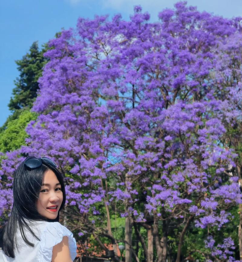 蓝色和黄色组合的花语是什么？