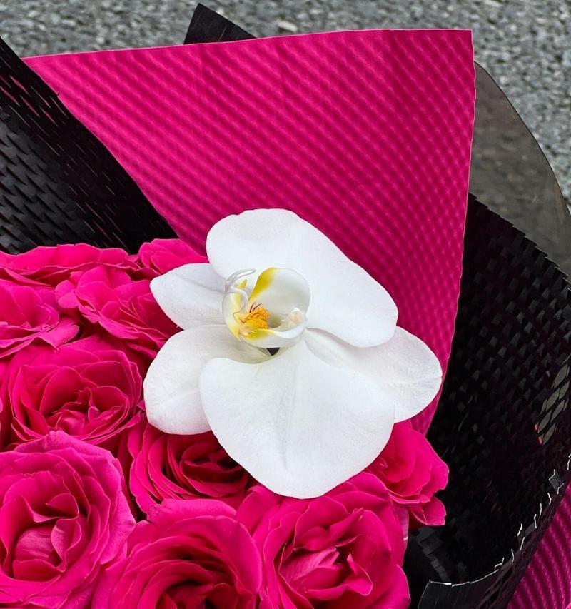 佛洛伊德玫瑰的花语有何深意？它们象征着什么？
