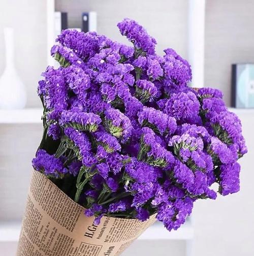 哪种花的花语象征着最真挚的友谊？