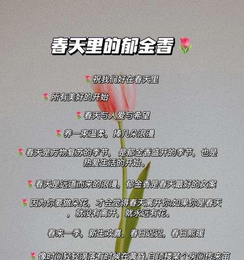 春日文案中花语的含义是什么？