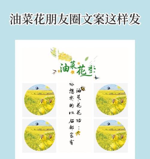 春日文案中花语的含义是什么？