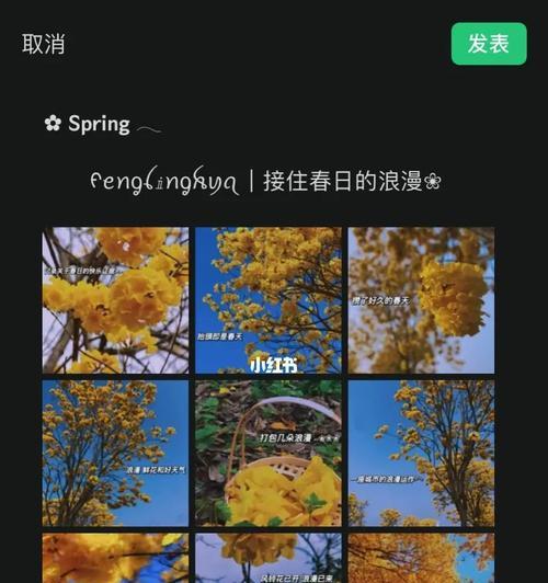 春日文案中花语的含义是什么？