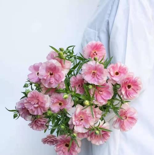 三八节适合送什么花？这些花的花语分别是什么？