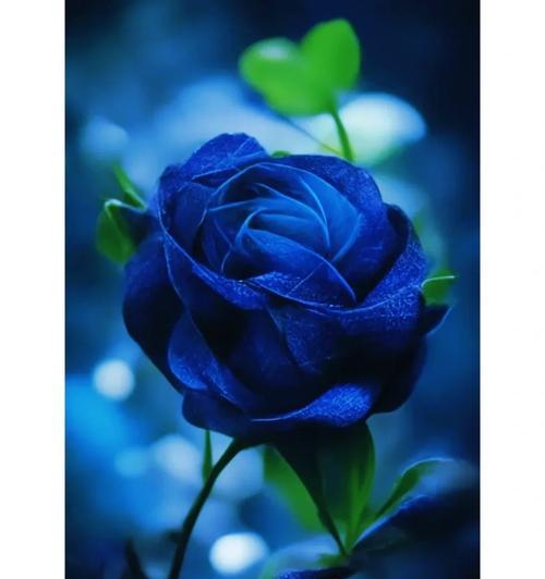 蓝色妖姬包含什么花朵和花语？蓝色妖姬花语是什么？