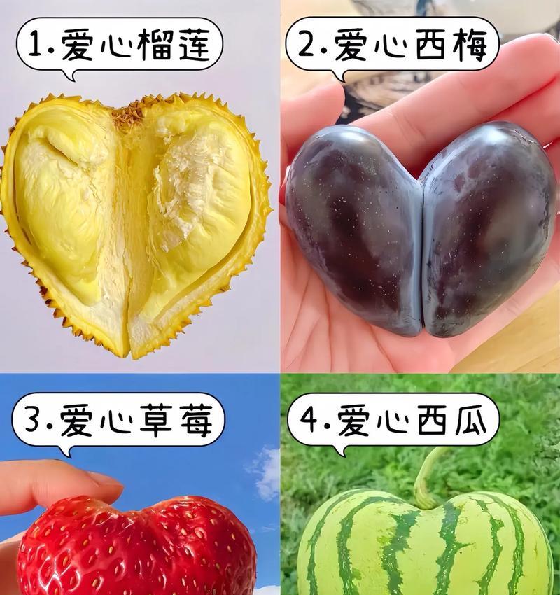 爱心果花语含义和寓意是什么？爱心果象征着什么？