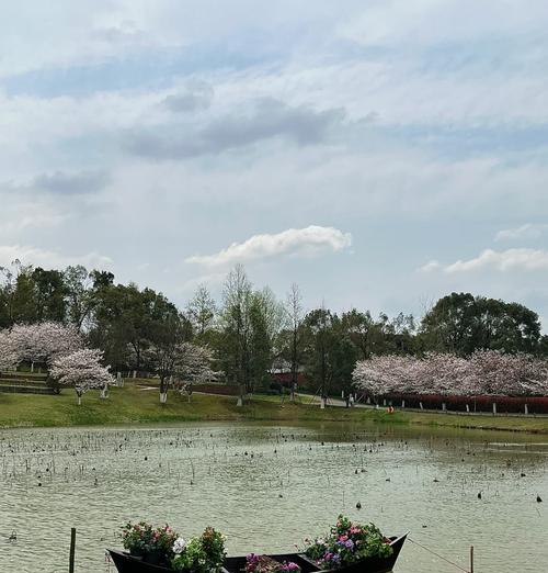 花语世界有哪些玩法？花语世界里可以做什么？