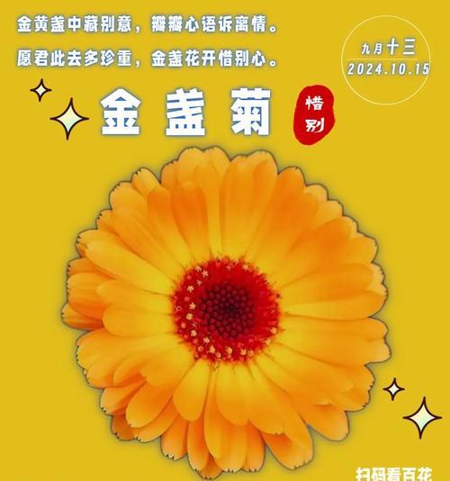 金盏菊的花语在诗词中代表什么含义？