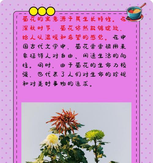 追求希望的花语有哪些积极的含义？