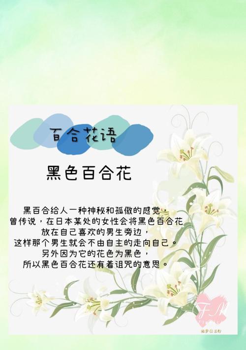 祝福的花语有哪些？它们各自代表了什么意义？