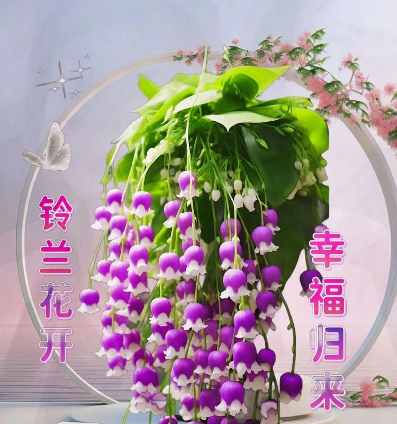 祝福的花语有哪些？它们各自代表了什么意义？