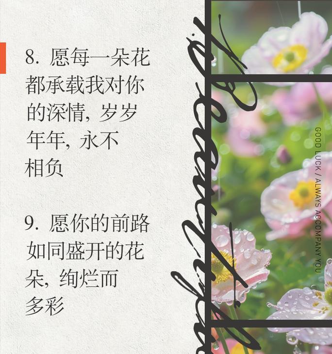 自赠玫瑰花有何特别寓意？