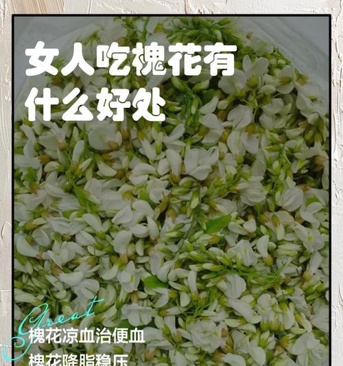 五彩槐花的花语代表了什么？