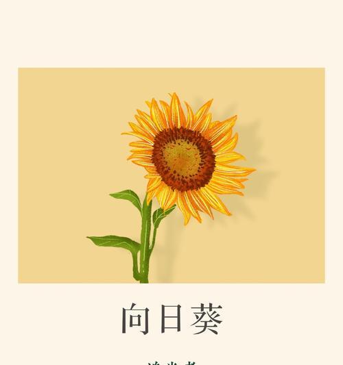 粉红荷花最美花语是什么？奶油向日葵真正的花语又是什么？