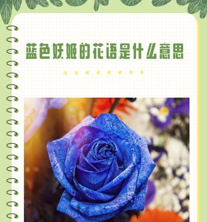哪种花代表新花语？它的含义是什么？