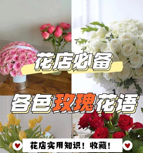 花店提供的花语和寓意有哪些？