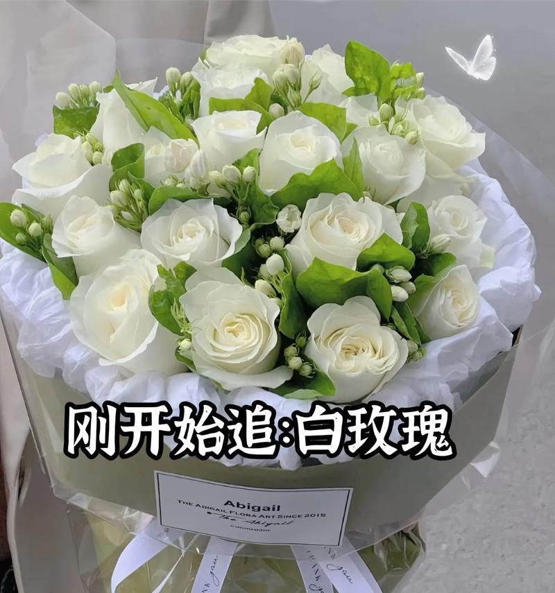 送姐姐玫瑰花的寓意是什么？玫瑰花代表了哪些情感？