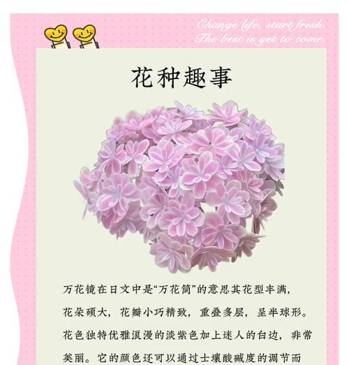 过去温暖的花语是什么呢？哪种花代表过去的美好回忆？