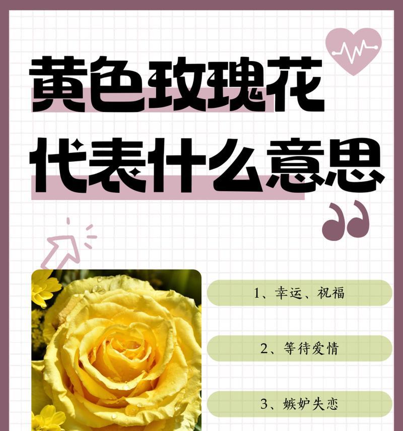 薰玫瑰花语是什么？薰玫瑰代表什么？