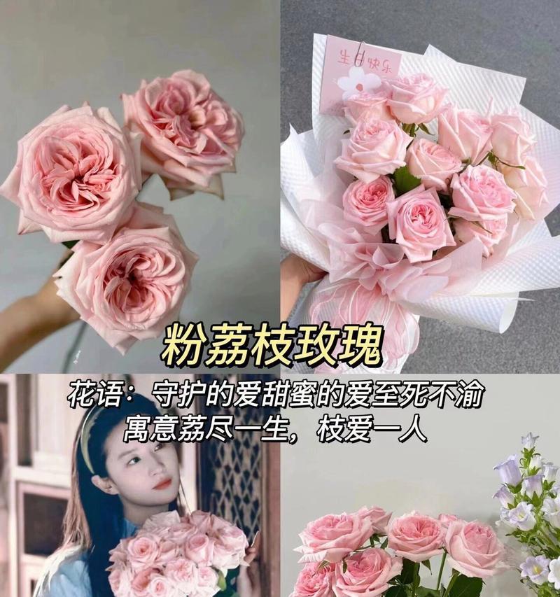 七夕节送什么花代表什么花语？