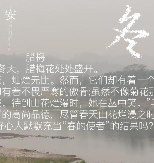 红梅与腊梅的花语有何不同？各代表什么意义？