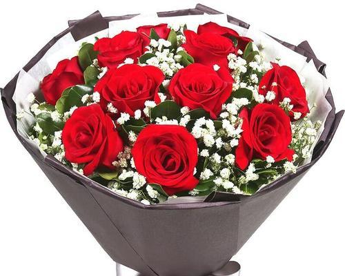 退役送什么玫瑰花合适？哪种玫瑰花适合表达退役的祝福？
