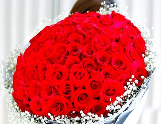退役送什么玫瑰花合适？哪种玫瑰花适合表达退役的祝福？