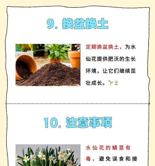 水仙花的花语是什么？水仙花代表了哪些含义？