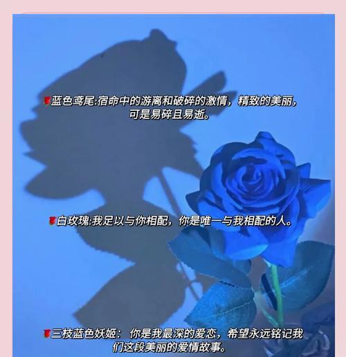 表白时选择哪种花语最能打动人心？