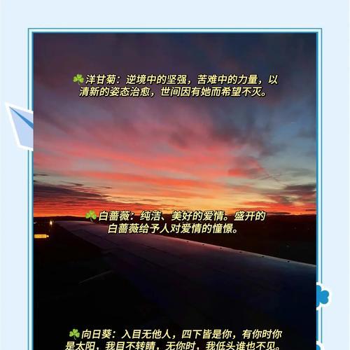 给老师送花时应该选择哪种？它们的花语分别是什么？