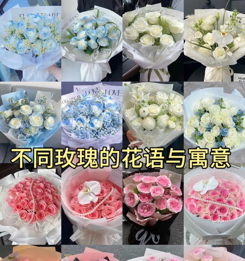给老师送花时应该选择哪种？它们的花语分别是什么？