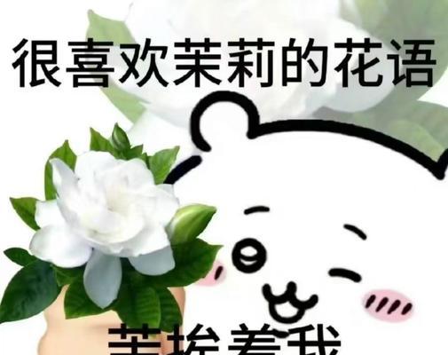 花语谐音梗有何趣味？如何理解花语中的谐音含义？
