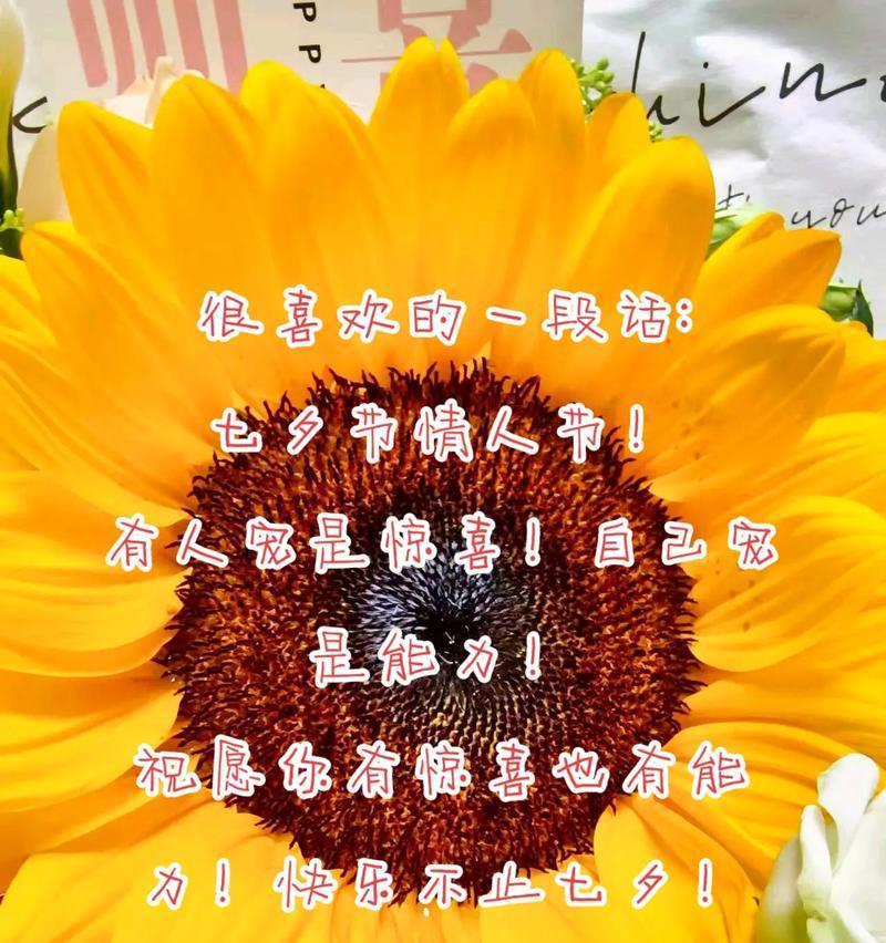 向日葵泰语花语有何不同？