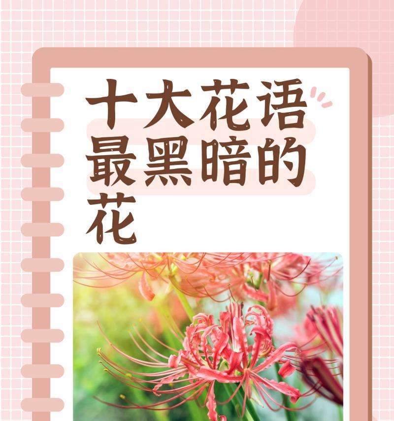 哪种花的花语最香且外观最好看？