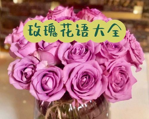宝宝送花的花语有何特别含义？