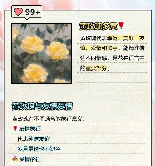 6支花束通常代表什么花语和寓意？它们各自象征着什么？