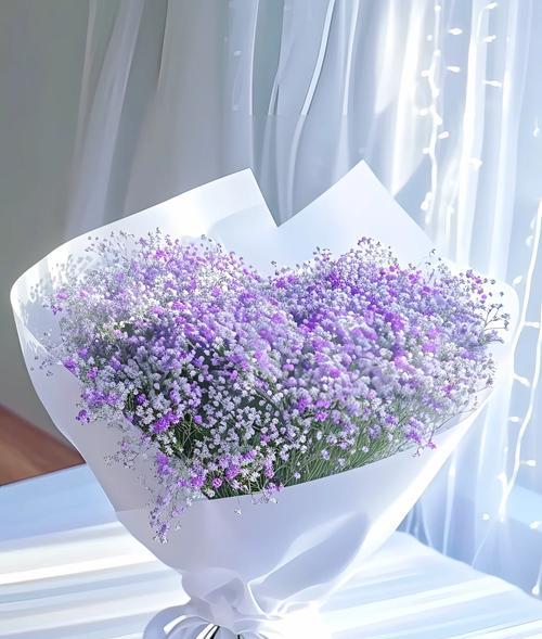 漫天星的花语是什么？它在花语中传达了哪些情感？