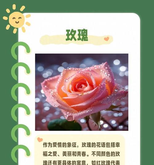 哪种花的花语比玫瑰更美？最美的花语是什么？
