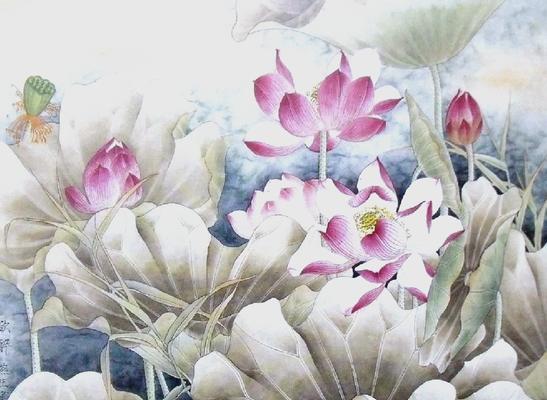 荷花的花语和象征意义是什么？