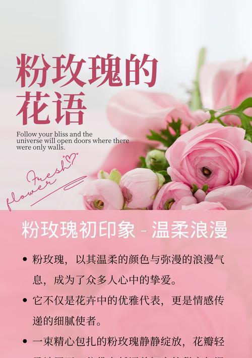 送女生朋友的花有何花语？它们各自代表什么情感？