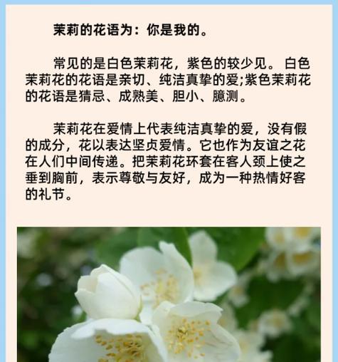 可以组合的花语是什么？哪些花组合起来有特殊意义？