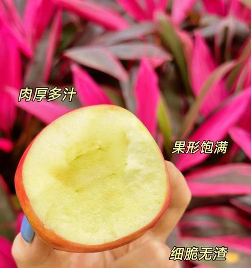 袖珍苹果的花语和寓意是什么？它象征着什么？