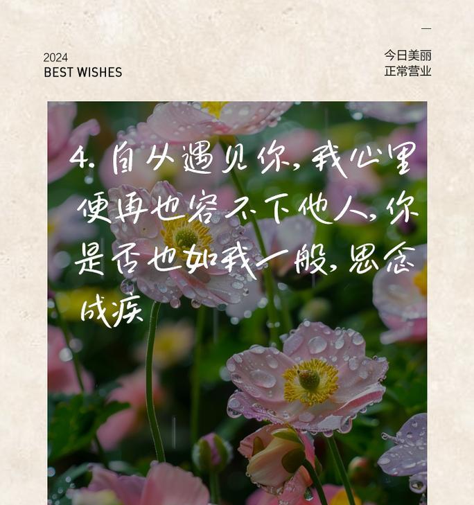 想挽回对方的花语有哪些？这种花语在送花时有什么含义？