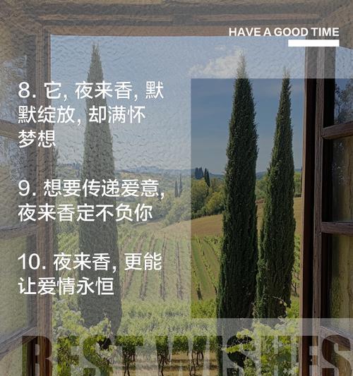 对爱痴迷的花语有哪些？它们如何表达爱情的深度？
