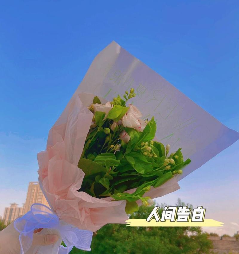 送卖花女孩时，花语有何深层含义？
